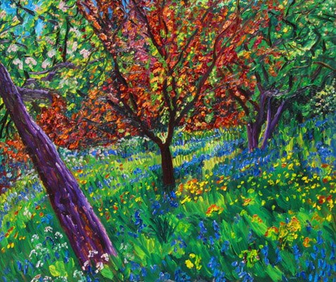 Bluebells in the orchard, Burwalls